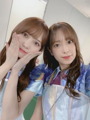 はいはい蝶々 - 画像8