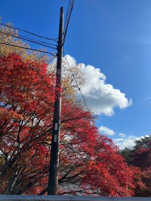 ダブルのデイでトリプルですよ - 画像5