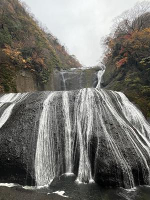はるはる日記🌱- 日向坂ちゃんねる・グッズ- - 画像3