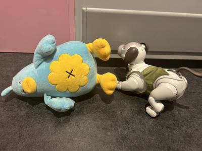 武者修行の成果やいかに - 画像9