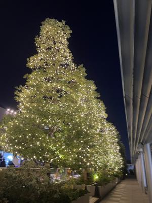 偶然のその次 - 画像4