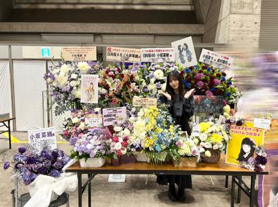 1つの線の狭間に立ってる時、言えばそれは県境みたいな、左右どちらかに引き寄せられる場合、体が1つしかない事が、どうしても惜しいと思っちゃって、分身なんて事ができたら、デメリットはあるだろうけど、役に立つ事だってあるんだろうなって思ったり。1つしかないのに、いろんなところに彷徨いたくなるのは、欲張りなのかと考える25日の日没のこと。 - 画像2