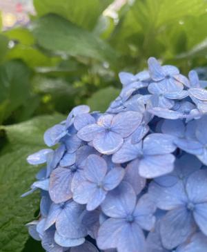 今年もありがとうございました！正源司　陽子 - 画像5