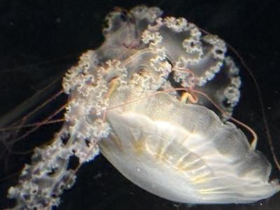 新年🐉 - 画像4