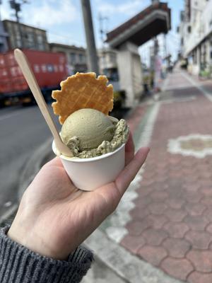 森本茉莉の旅ブログ🗺~竹富島~ - 画像8