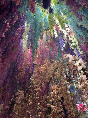 ラスト14歳 - 画像2