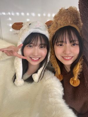 どうぶつ大集合ー！ - 画像2
