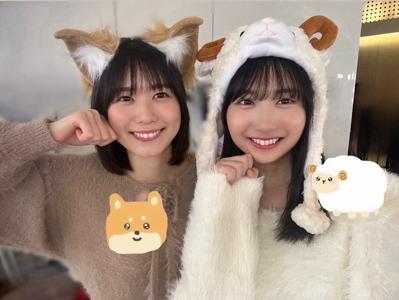 どうぶつ大集合ー！ - 画像4