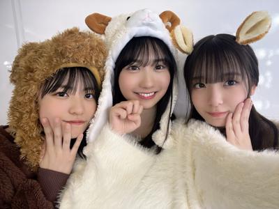どうぶつ大集合ー！ - 画像5