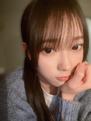 シルバニアの民🐰 - 画像3