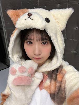 猫の手も借りたいあなたへ - 画像2