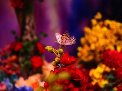 お味噌の中に入ってたら嬉しいのは実はごま油だったりする？ - 画像7