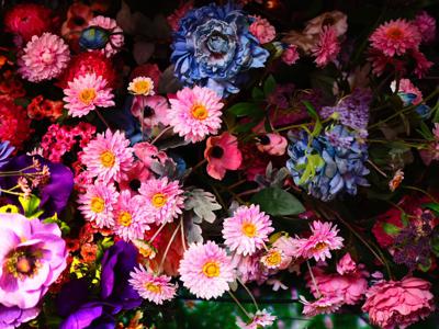 お味噌の中に入ってたら嬉しいのは実はごま油だったりする？ - 画像8