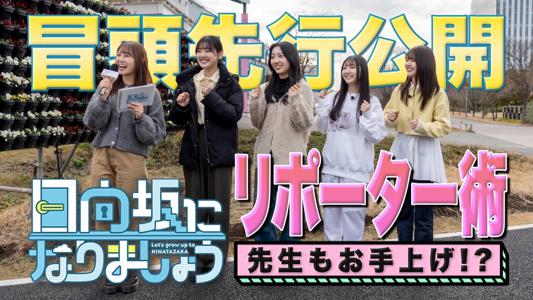 はるはる日記🌱 - 大好き日向坂 ・ひなあい ・ひななり - - 画像7