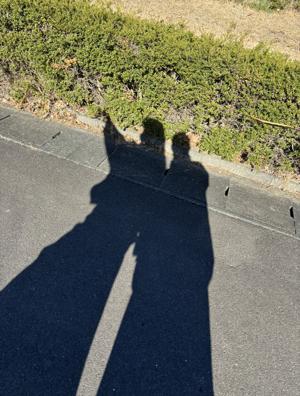 相棒コンビ de しずおかごはん旅🍃 - 画像2