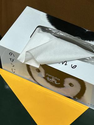 日常と特別、又はキラキラ - 画像12