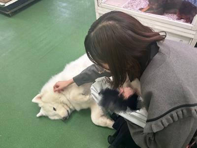 So cute - 画像3