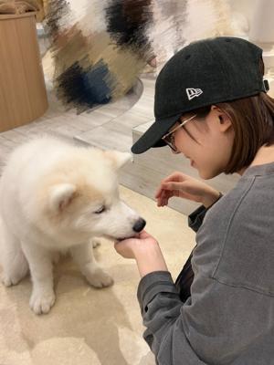 So cute - 画像8