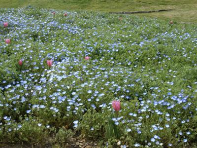 無敵！！💡 - 画像9