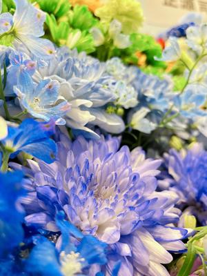 伝えたいことと写真が多すぎる正源司　陽子 - 画像4