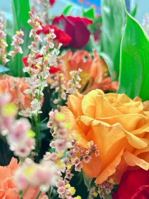 伝えたいことと写真が多すぎる正源司　陽子 - 画像5