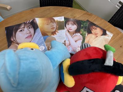 振り返ればポカがいる - 画像2