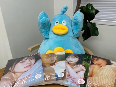 振り返ればポカがいる - 画像4