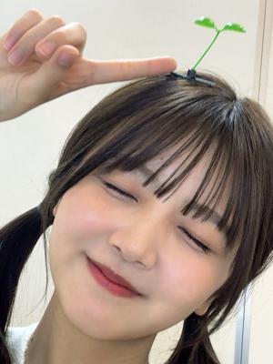 はるはる日記🌱 - 岩手県 ・ ミーグリ - - 画像10