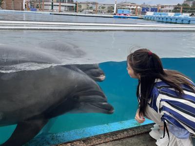 はるはる日記🌱 - 最近のあれこれ - - 画像2