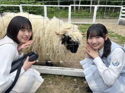 日向坂46時間TV - 画像4
