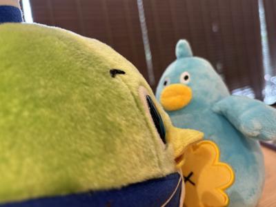 紅ずわい蟹と鳥取和牛はいかがですか - 画像4