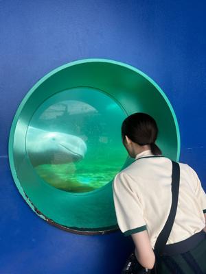 寝台列車にまた乗りたいもりもと - 画像4