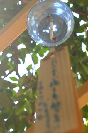 伝えたいことがたくさんある正源司　陽子 - 画像5