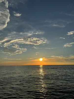 星空と夜景のジレンマ - 画像2