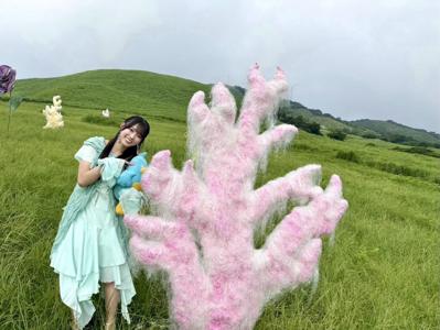 ポカはおぼえてる - 画像3