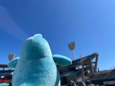 ポカの宮崎旅紀行 - 画像12