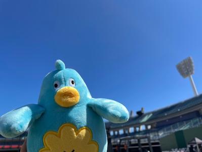 ポカの宮崎旅紀行 - 画像13