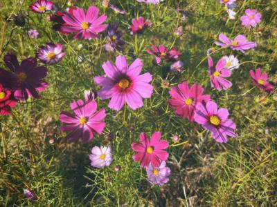 9月18日 - 画像2