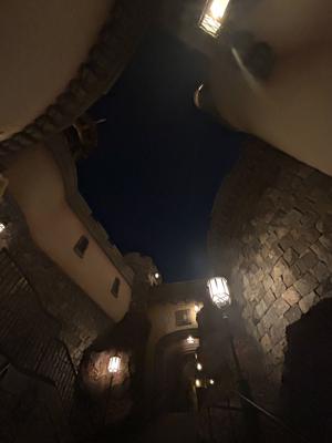 噛み締める間を探しています - 画像10