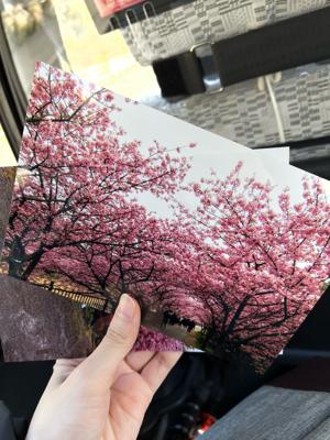 みとめるのオフショットたち - 画像4