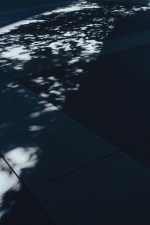 近況 - 画像7