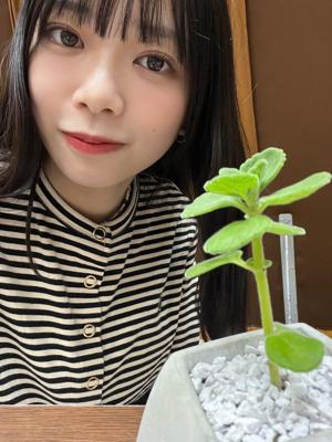 最近の山口陽世 - 画像2