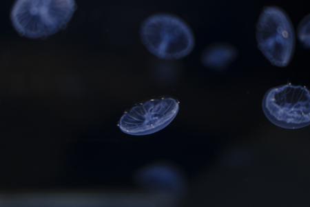 今日の私は何を思うのだろうか。正源司　陽子 - 画像9