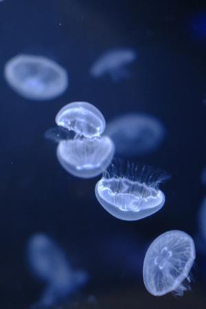 今日の私は何を思うのだろうか。正源司　陽子 - 画像10