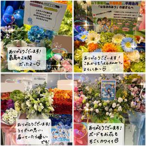 はるはる日記🌱 - ひなた坂 LIVE - - 画像15