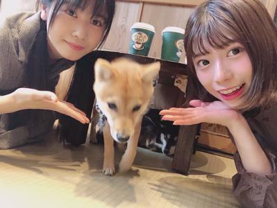 12月3日 - 画像3