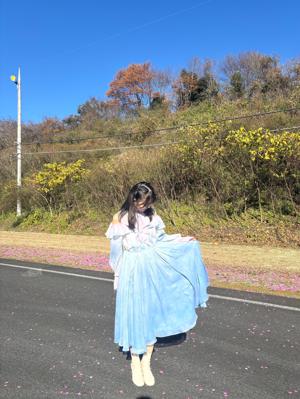 写真がたくさん。 - 画像5