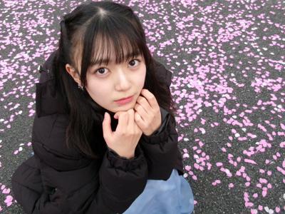 写真がたくさん。 - 画像10
