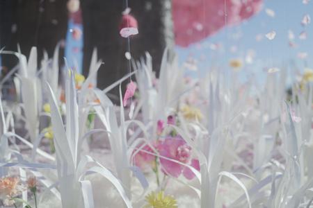 #みくふぉと　今年と自分のこと。 - 画像6