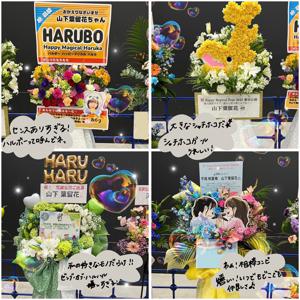 はるはる日記🌱 - Mステさん ・ ミート＆グリート ・ 祝花 - - 画像24